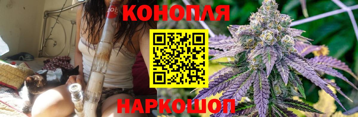Каннабис индика  Бошки марихуана планчик  Конопля семена  Зеленодольск  Вход с VPN  Марихуана Amnesia 